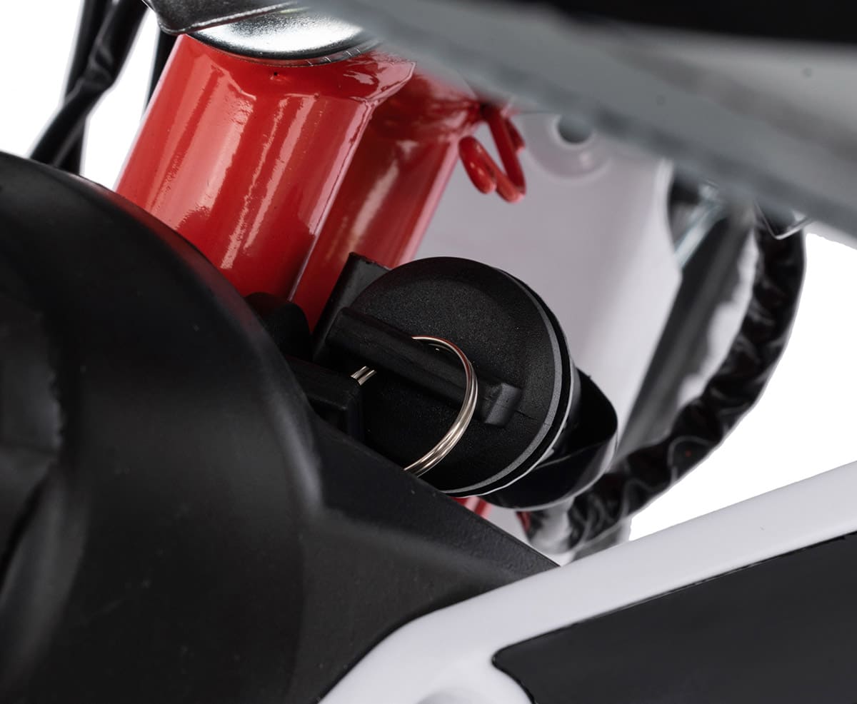 Купить Мотоцикл REGULMOTO Pilot EA 12/10 PITBIKE в Москве фото12