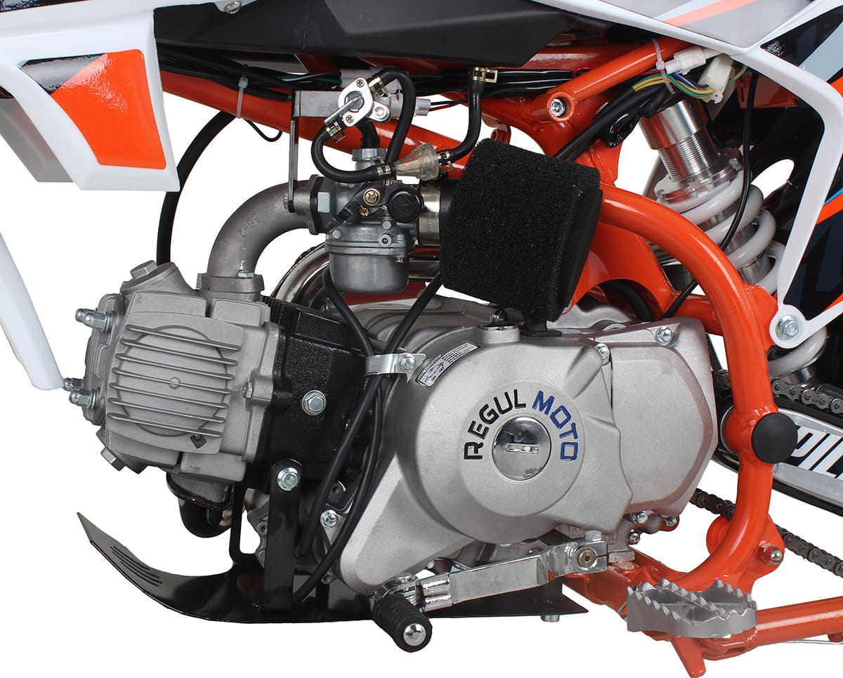 Купить Мотоцикл REGULMOTO Pilot EA 12/10 PITBIKE в Москве фото16