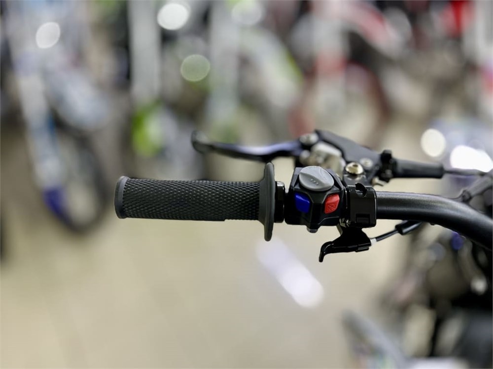 Купить Мотоцикл DAREX Urman NB300 ENDURO в Москве фото6