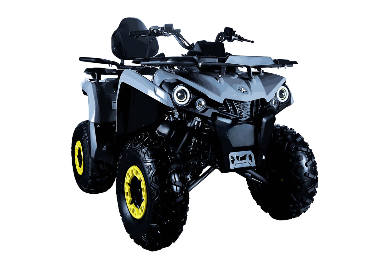 Купить Квадроцикл AVANTIS Forester Long 200 Basic в Москве фото2