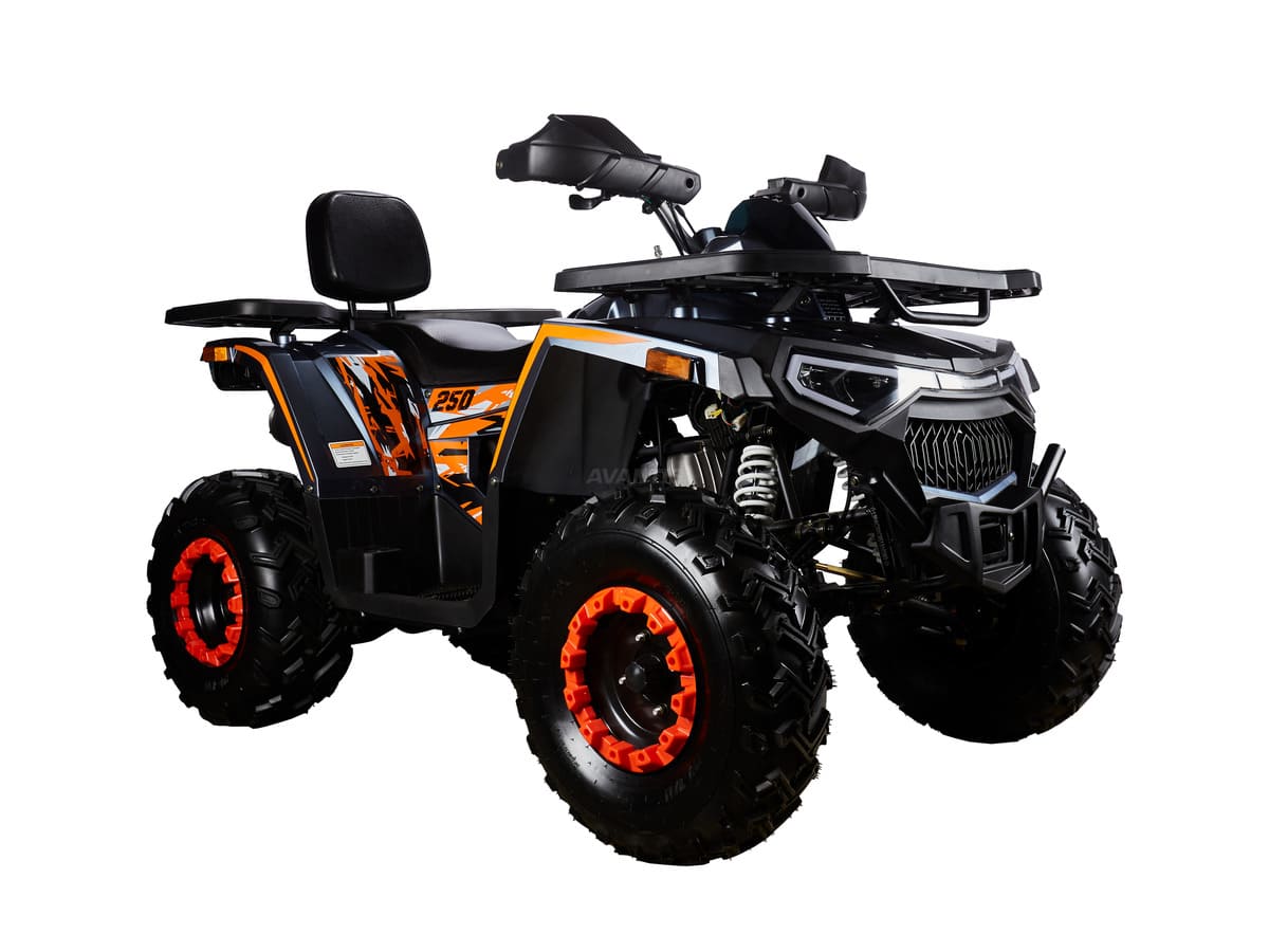Купить Квадроцикл AVANTIS H250 BIG NEW Basic в Москве фото2