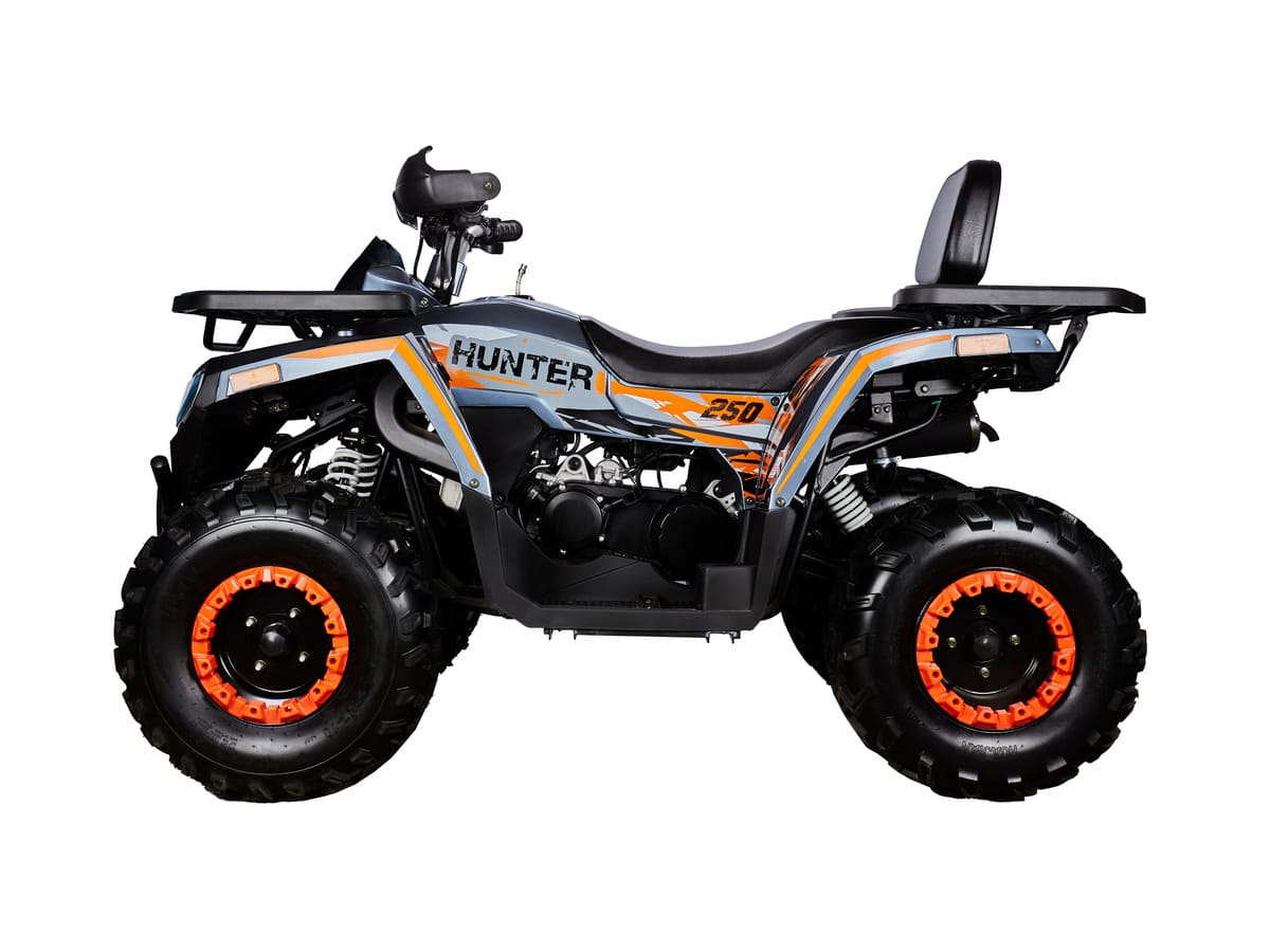 Купить Квадроцикл AVANTIS H250 BIG NEW Basic в Москве фото3