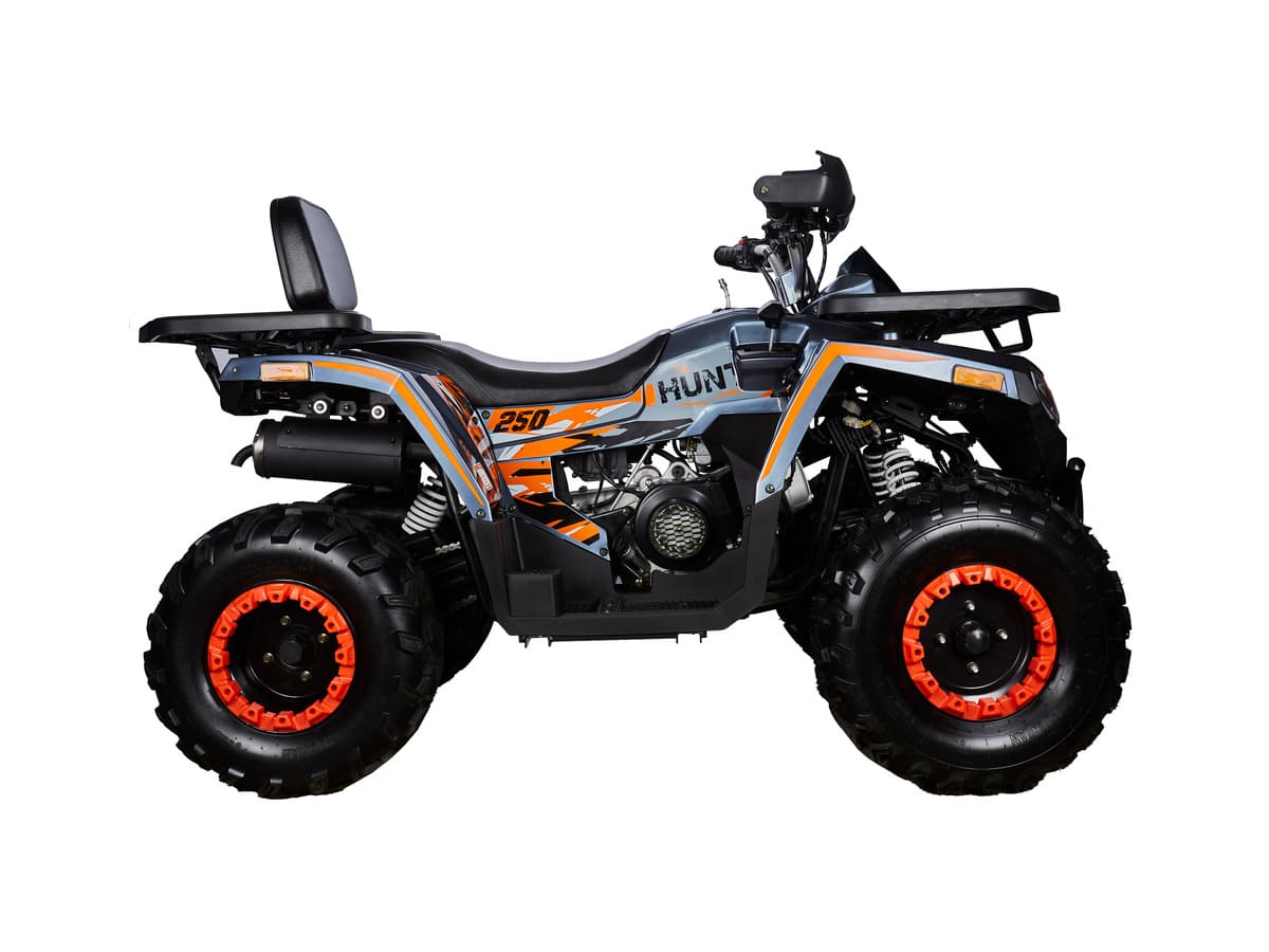 Купить Квадроцикл AVANTIS H250 BIG NEW Basic в Москве фото4