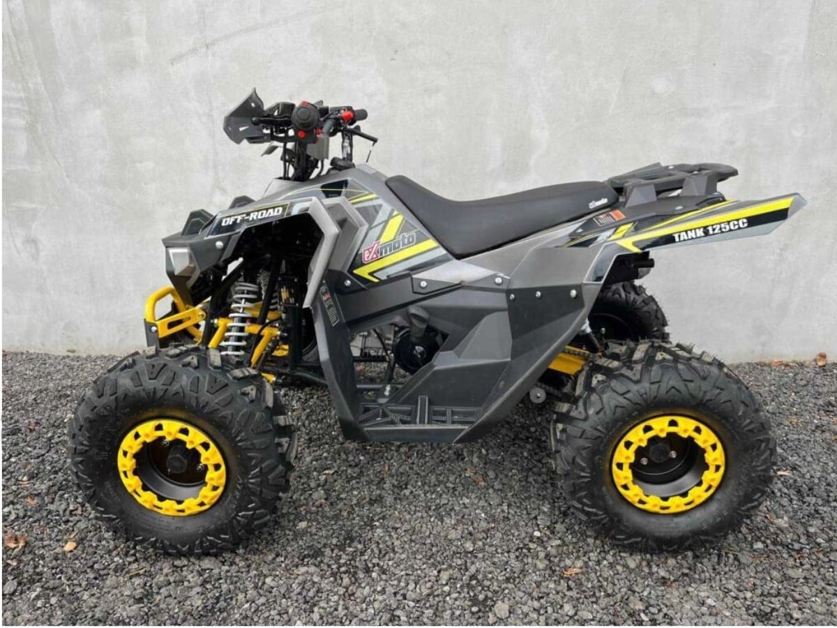 Купить Квадроцикл FXMOTO Tank 125 в Москве фото2