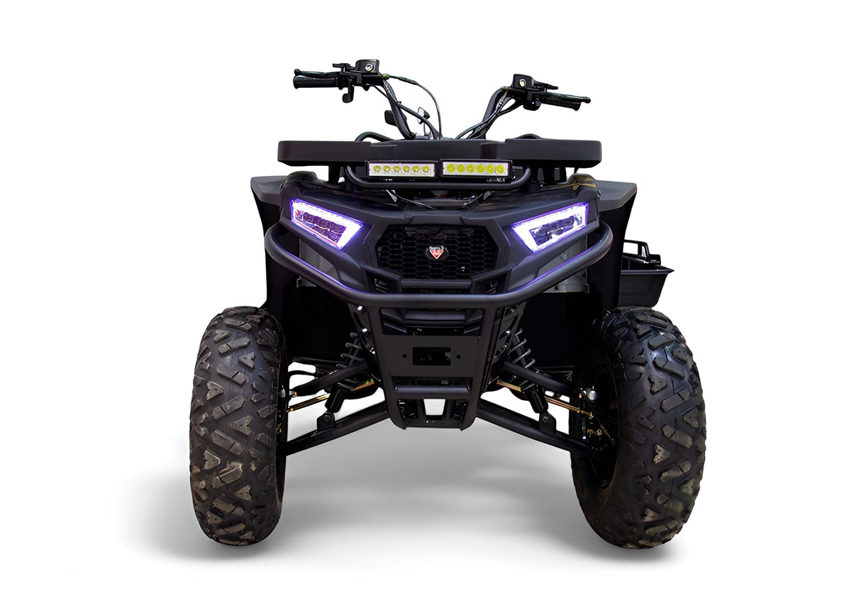 Купить Квадроцикл MOTAX Grizlik W200 в Москве фото3