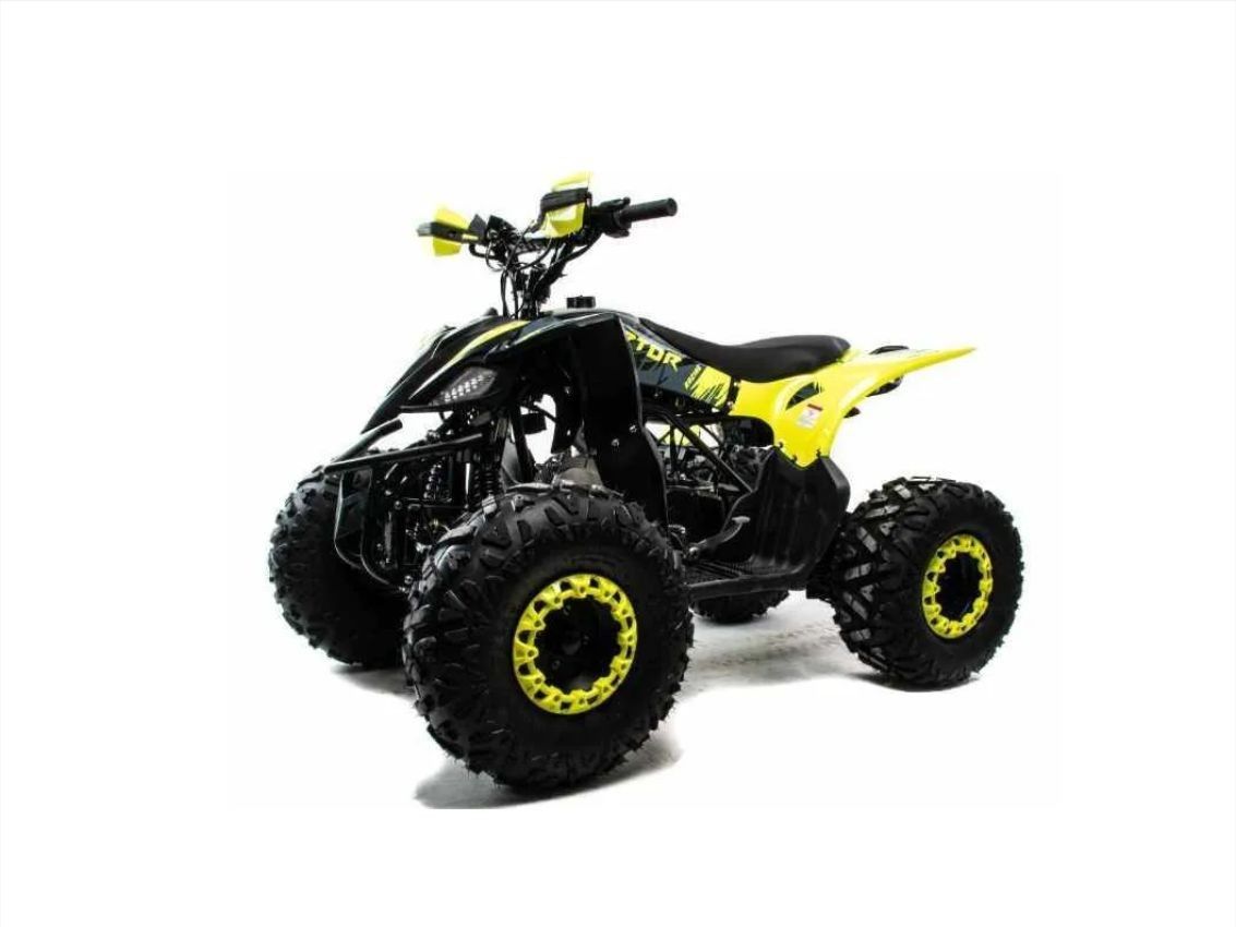 Купить Квадроцикл MOTOLAND ATV Raptor A 125 в Москве