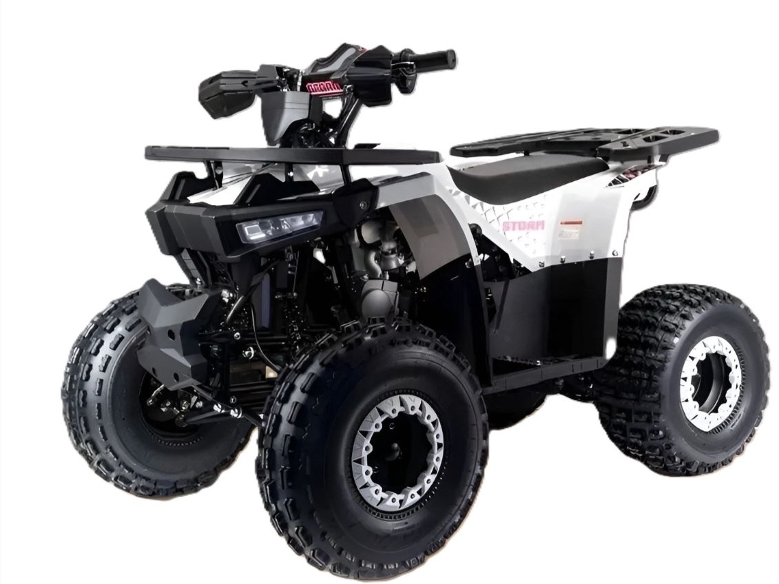 Купить Квадроцикл MOTOLAND Storm A 125 в Москве