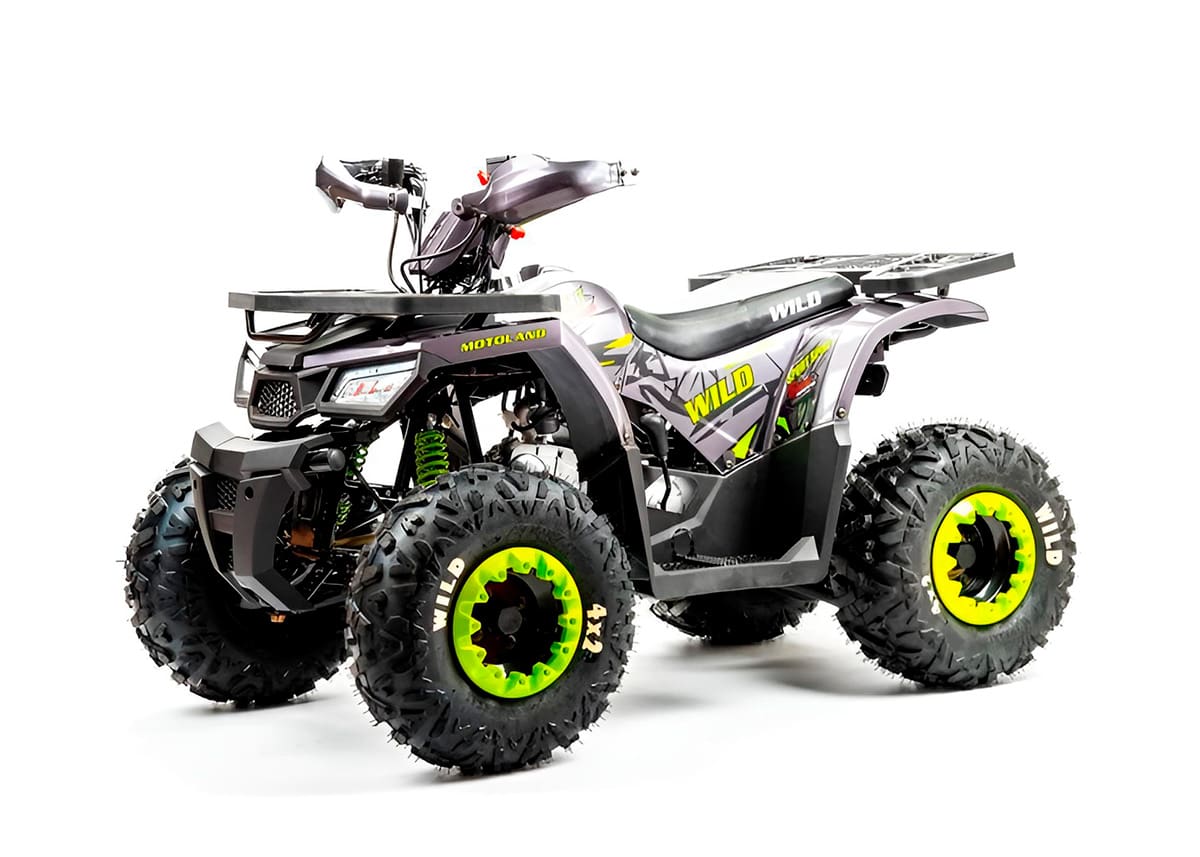 Купить Квадроцикл MOTOLAND Wild Basic 125 в Москве