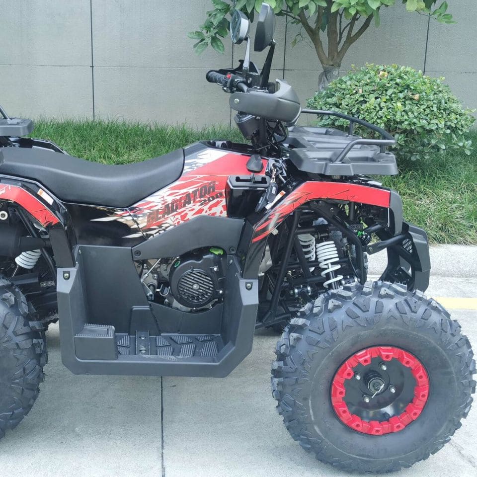 Купить Квадроцикл RACER Gladiator 200 в Москве фото5