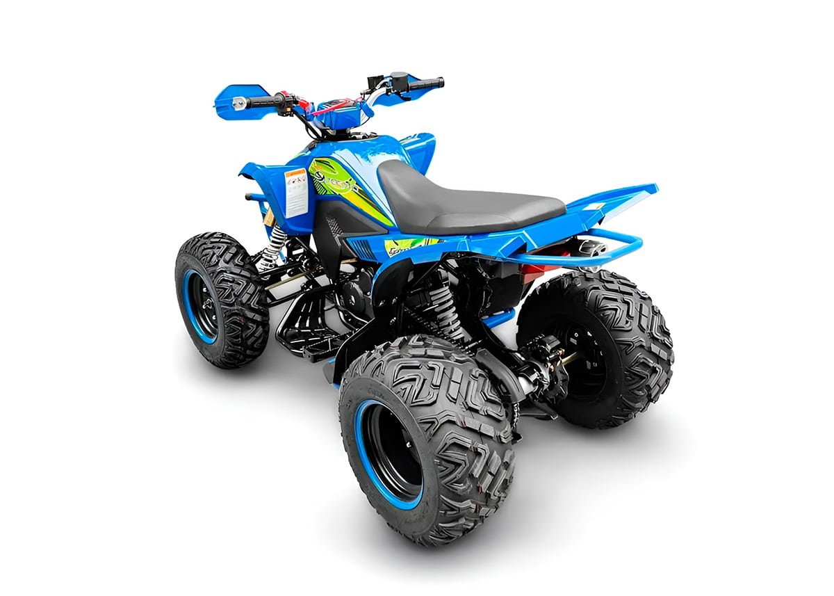 Купить Квадроцикл RACER Typhoon 250 в Москве фото4