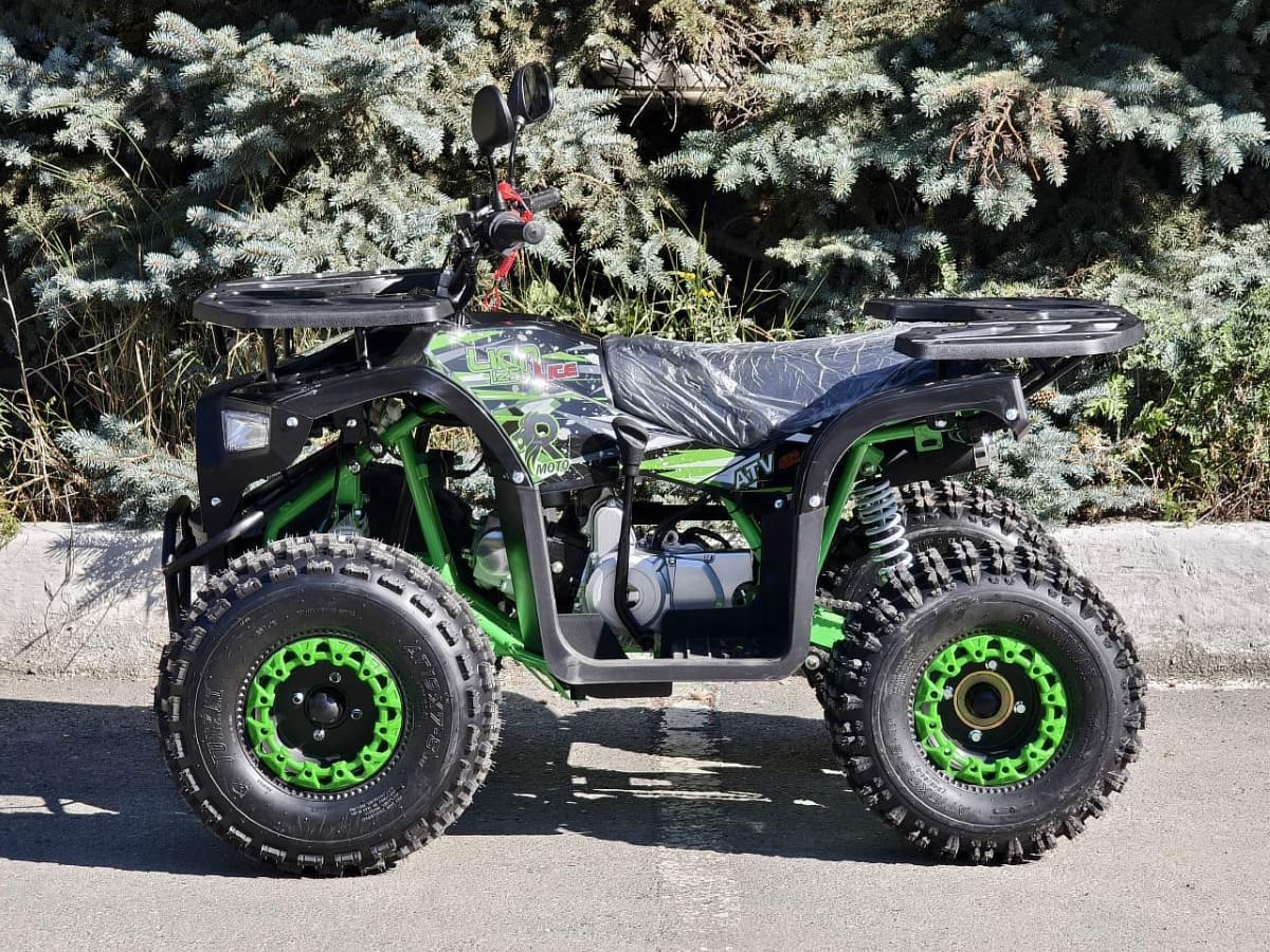 Купить Квадроцикл RMOTO Lion 125AR Lite в Москве фото2