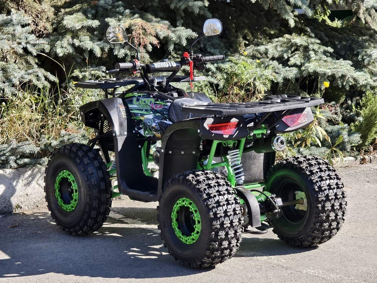 Купить Квадроцикл RMOTO Lion 125AR Lite в Москве фото4