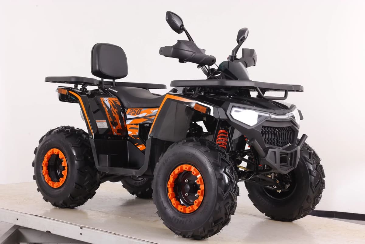 Купить Квадроцикл SHARK III 250 в Москве фото3