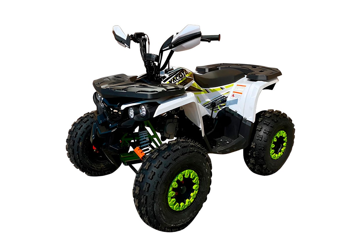 Купить Квадроцикл YACOTA Fusion PRO 125 NEW в Москве