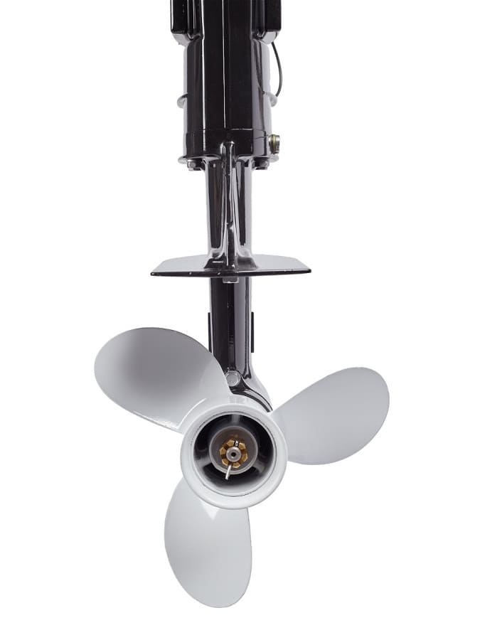 Купить 2х-тактный лодочный мотор AVANTIS T9.8 (S) в Москве фото6