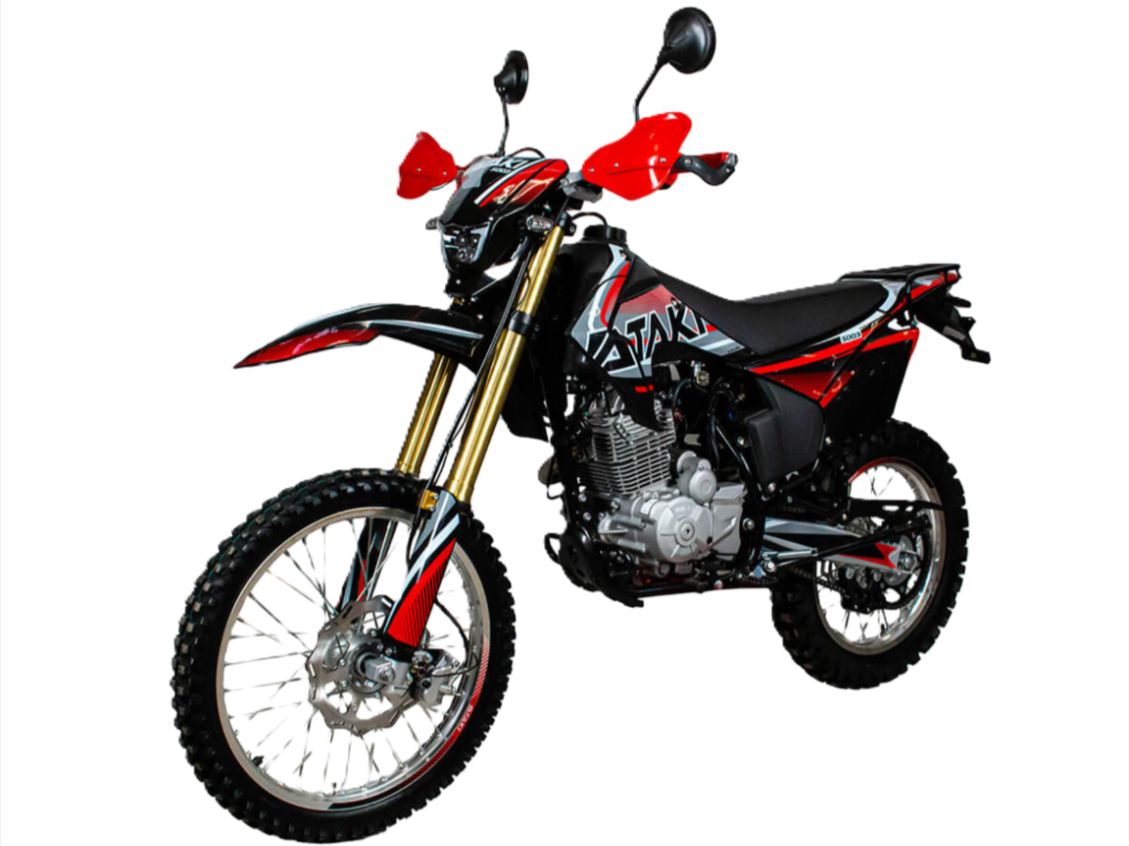 Купить Мотоцикл ATAKI Batllo (4T PR300) 17/17 в Москве