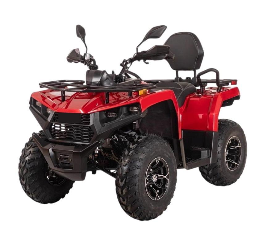 Купить Квадроцикл BIZON YK250 Lux EFI в Москве