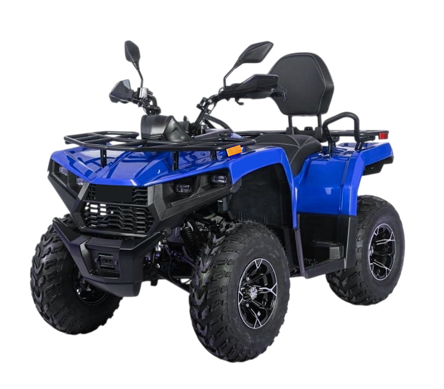 Купить Квадроцикл BIZON YK250 Lux EFI в Москве фото2