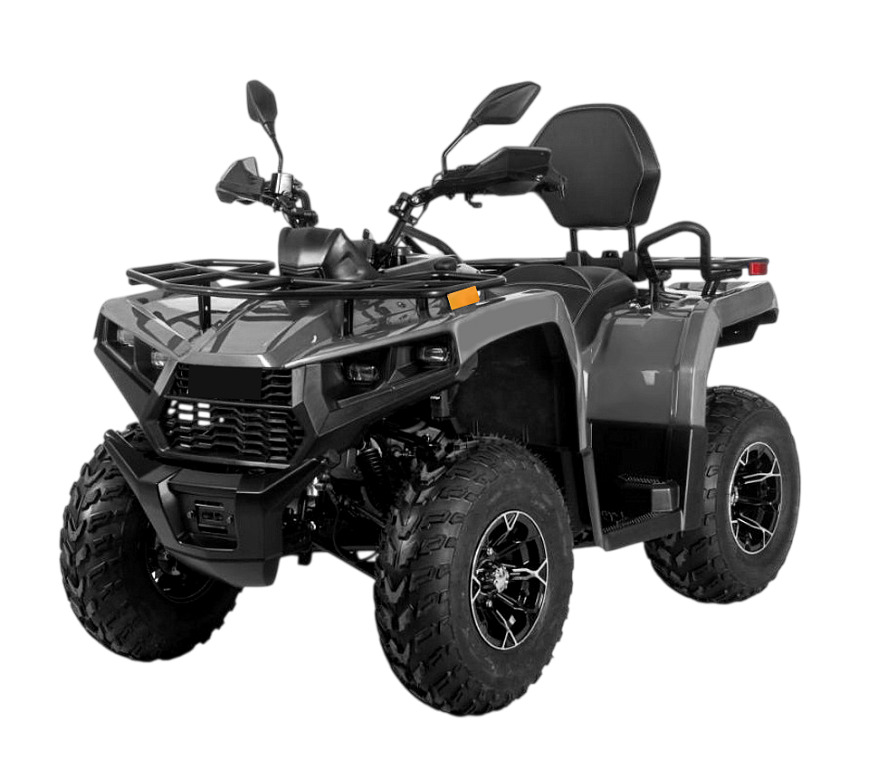 Купить Квадроцикл BIZON YK250 Lux EFI в Москве фото3