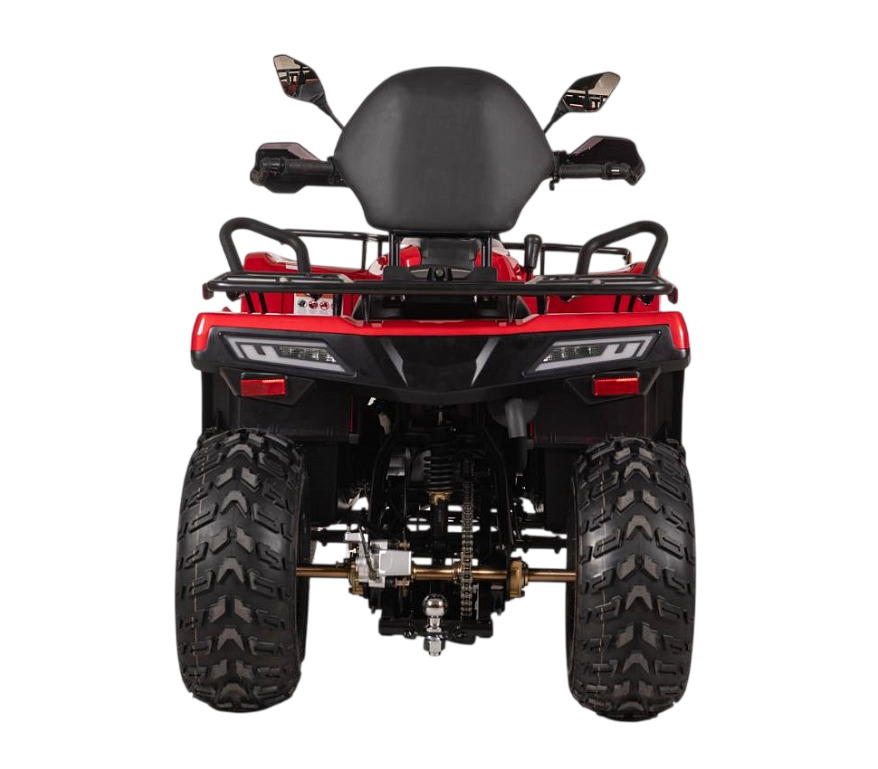 Купить Квадроцикл BIZON YK250 Lux EFI в Москве фото4