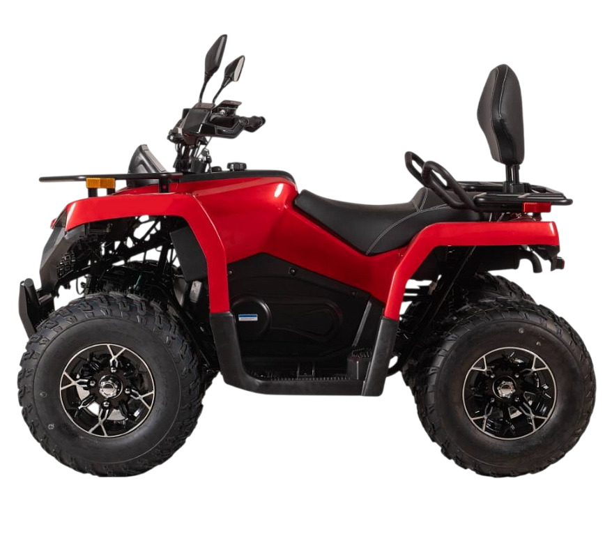 Купить Квадроцикл BIZON YK250 Lux EFI в Москве фото5