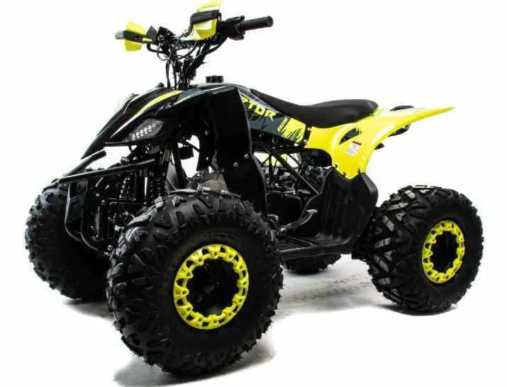 Купить Квадроцикл MOTOLAND 125 Raptor в Москве