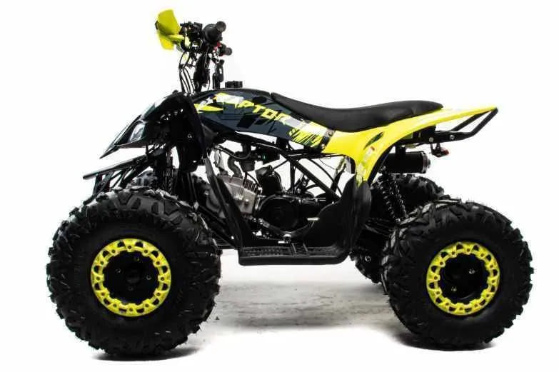 Купить Квадроцикл MOTOLAND 125 Raptor в Москве фото2