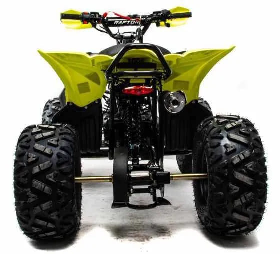 Купить Квадроцикл MOTOLAND 125 Raptor в Москве фото4