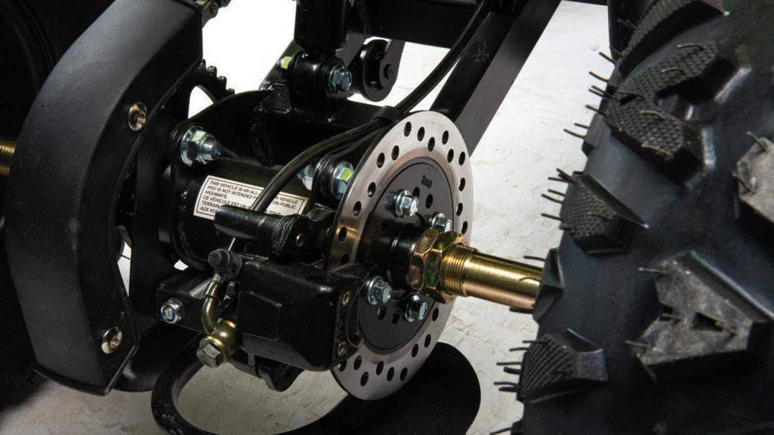 Купить Квадроцикл MOTOLAND 125 Raptor в Москве фото10