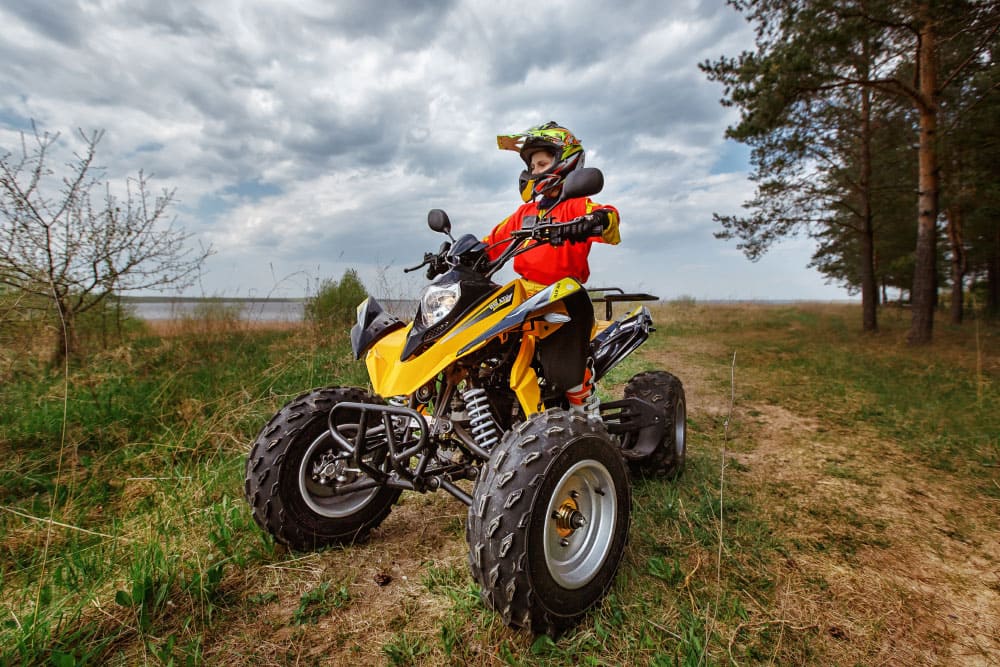 Купить Квадроцикл РМ Рысь 150 в Москве фото5