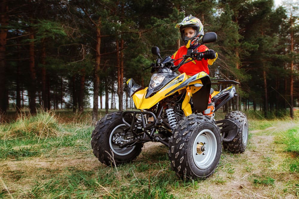 Купить Квадроцикл РМ Рысь 150 в Москве фото9