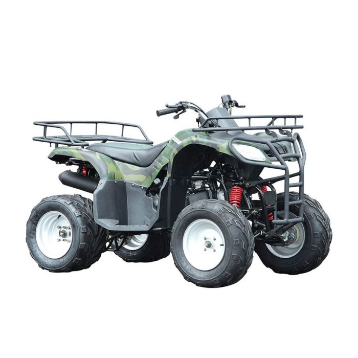 Купить Квадроцикл WELS Purga 170 в Москве