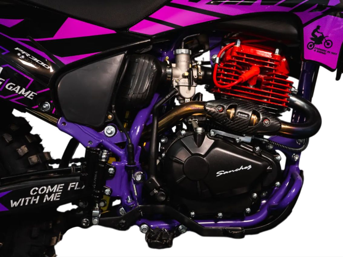 Купить Мотоцикл SANCHEZ Maniac PR300 в Москве фото4