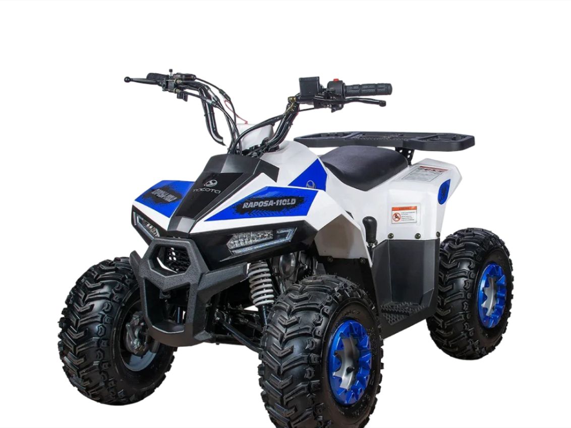 Купить Квадроцикл YACOTA Raposa Pro Sport в Москве