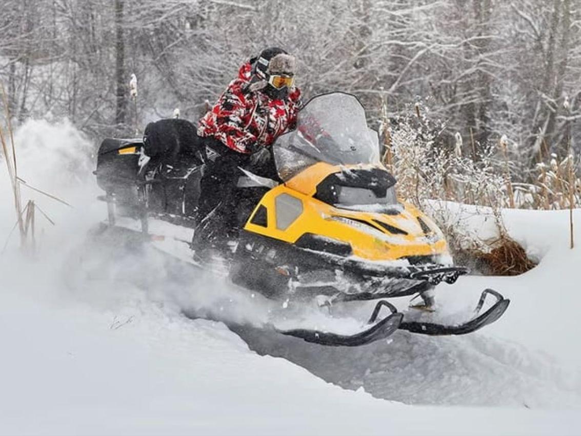 Купить Снегоход STELS Viking S600 в Москве фото2