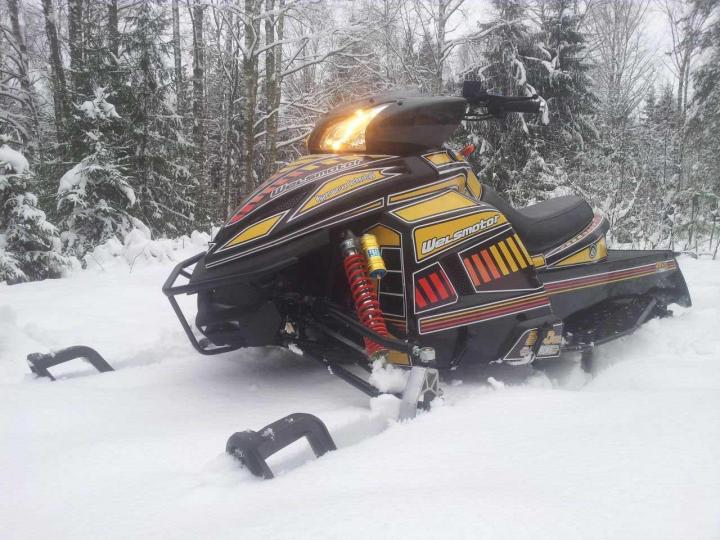 Купить Снегоход WELS Phantom 250 в Москве фото8