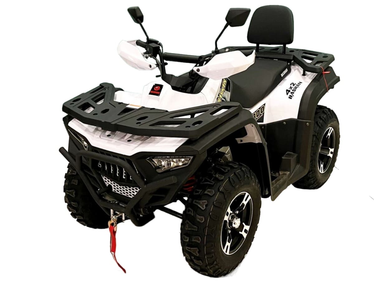 Купить Квадроцикл BASHAN Explorer 300 Winch в Москве