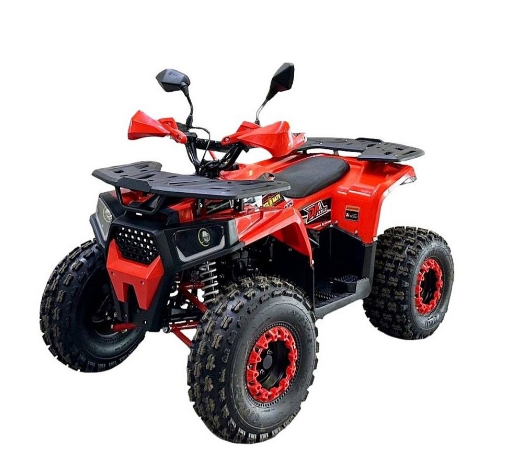 Купить Квадроцикл BISON Forest 125 Lux в Москве