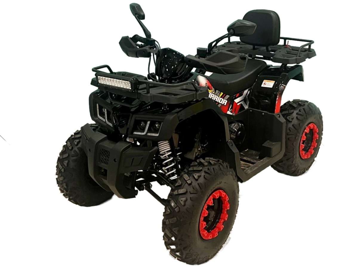 Купить Квадроцикл BISON Warrior 200 в Москве