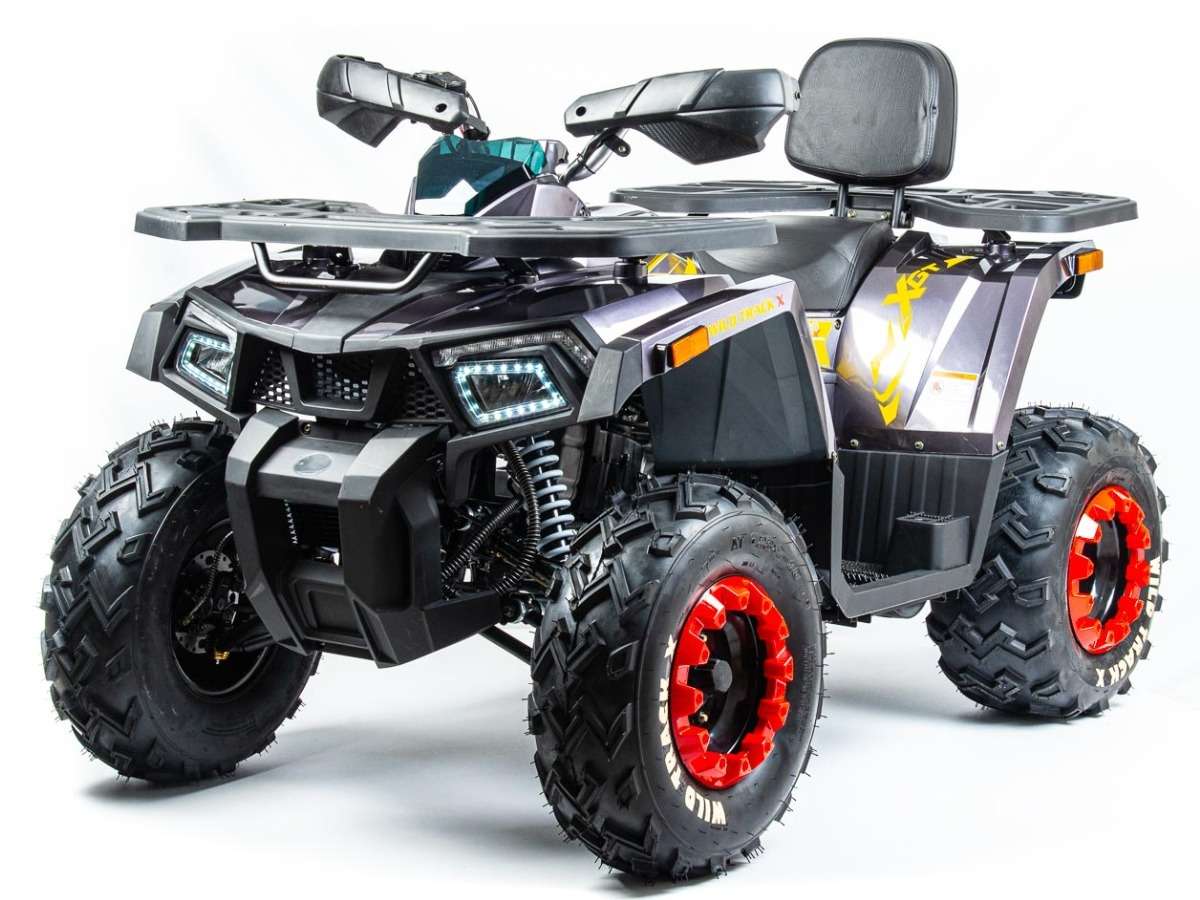 Купить Квадроцикл TAO MOTOR ATV 200 в Москве