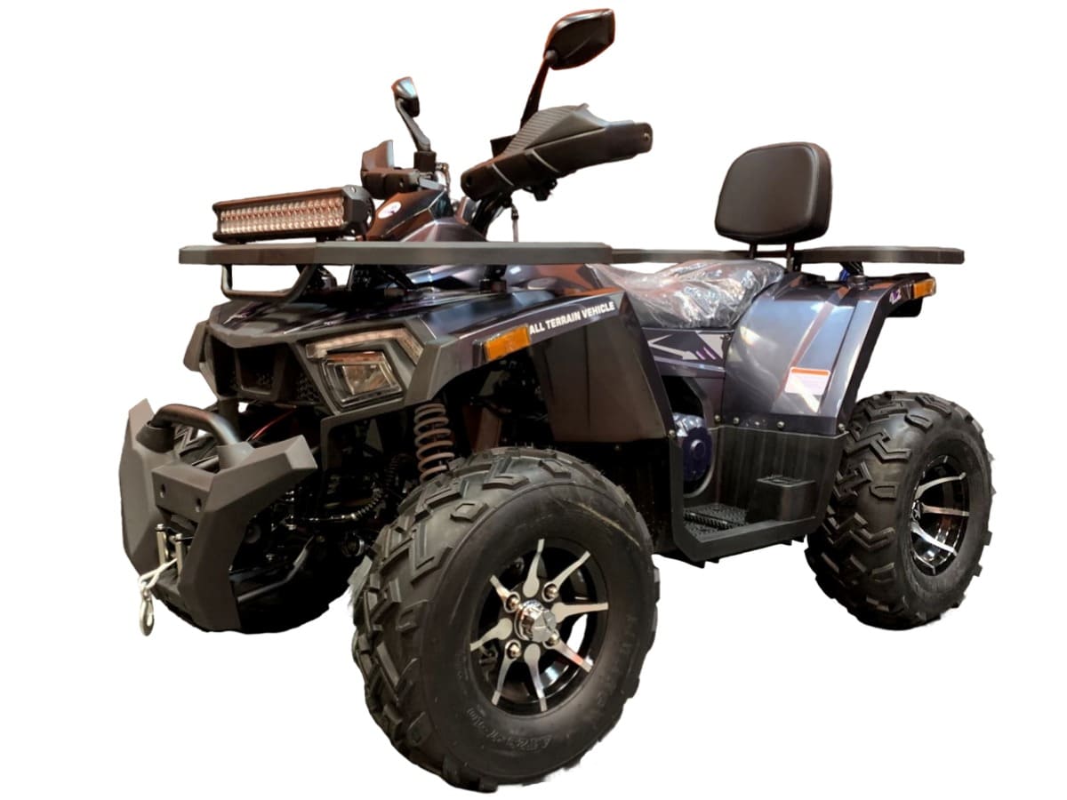 Купить Квадроцикл TAO MOTOR ATV 200 Lux в Москве