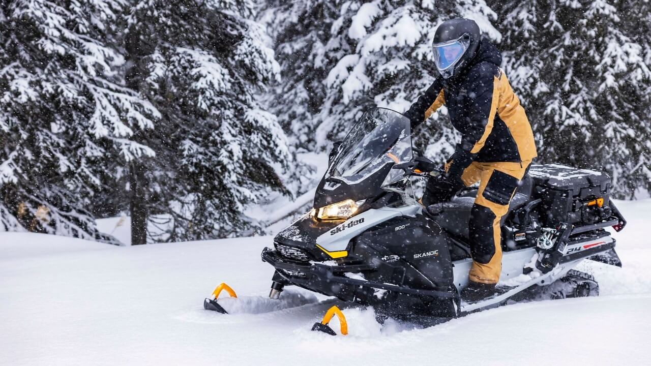 Купить Снегоход BRP Ski Doo Skandic LE 24" 900 Ace в Москве фото3