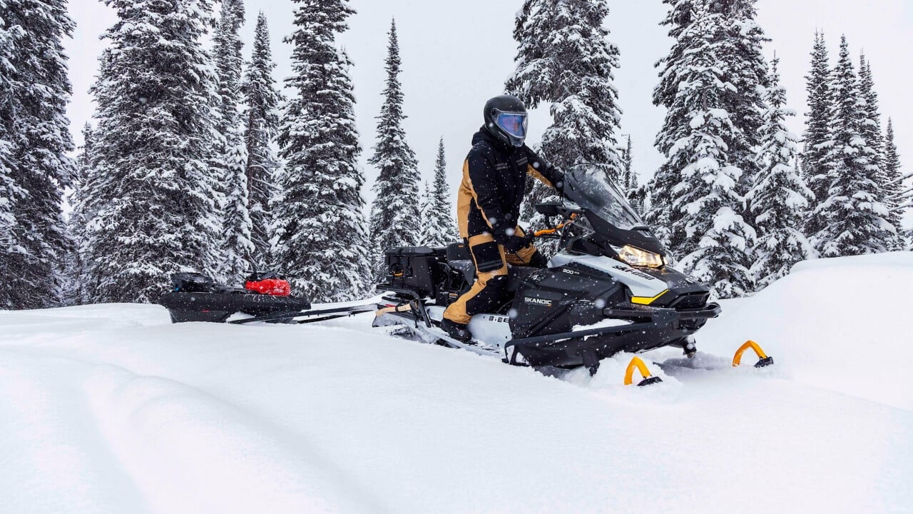 Купить Снегоход BRP Ski Doo Skandic LE 24" 900 Ace в Москве фото4