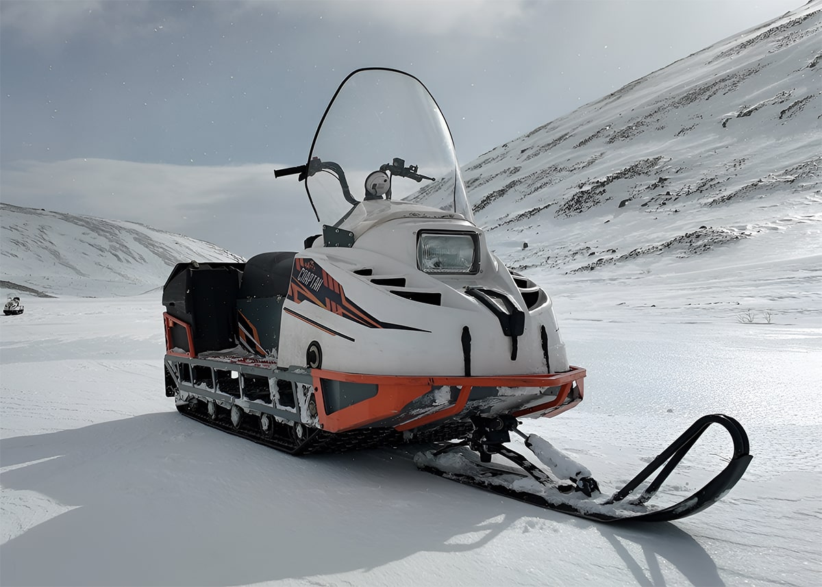 Купить Снегоход TERRATRACK СПАРТАН Классика S в Москве фото2