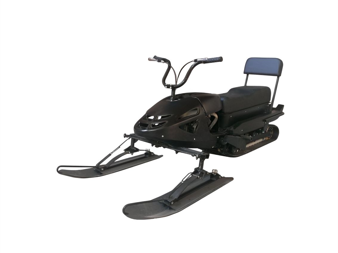 Купить Снегоход БУРЛАК Резвый в Москве