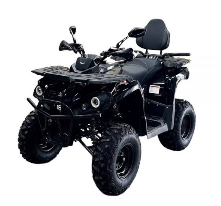 Купить Квадроцикл BISON Forest 200 Lux в Москве
