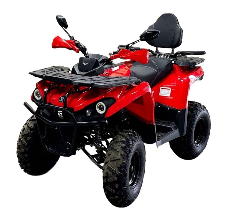 Купить Квадроцикл BISON Hammer 250 PRO в Москве