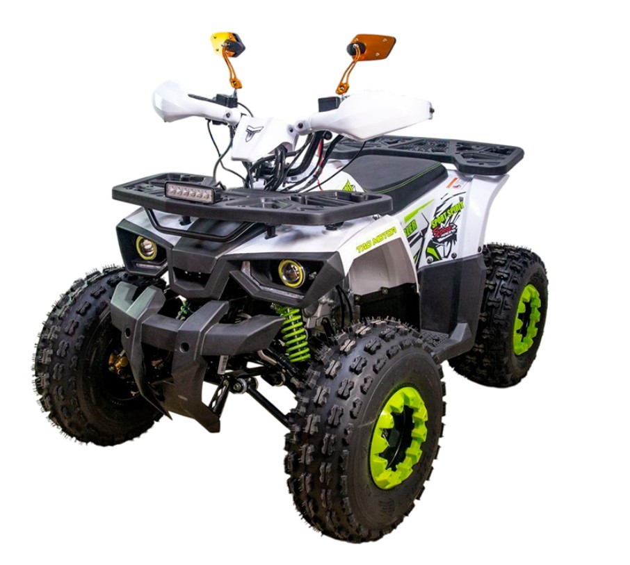 Купить Квадроцикл GAOBO Kids 125 LD в Москве