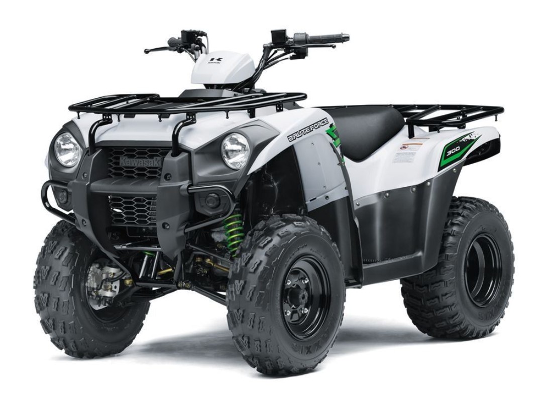 Купить Квадроцикл KAWASAKI Brute Force 300 в Москве фото2