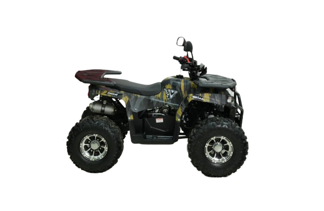 Купить Квадроцикл MOTAX Grizlik Premium 150 в Москве фото2